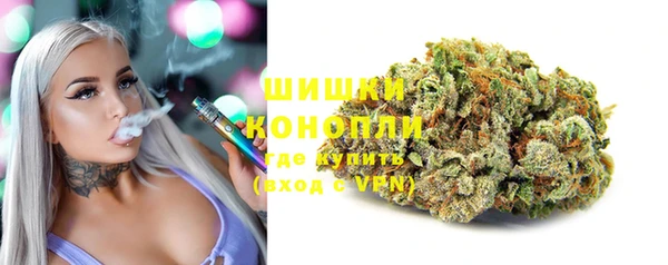 твердый Нестеровская