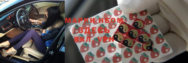 твердый Нестеровская