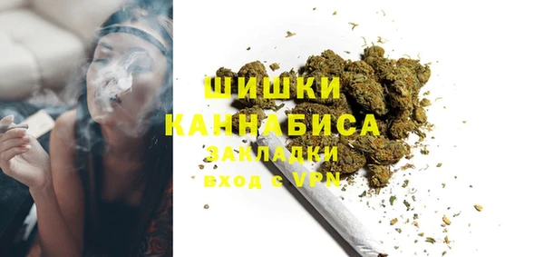 твердый Нестеровская