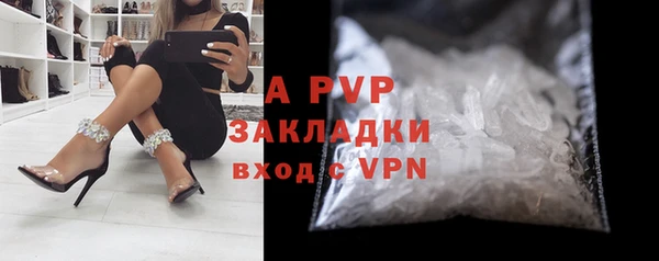 прущие грибы Фёдоровский