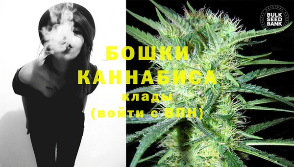 прущие грибы Фёдоровский