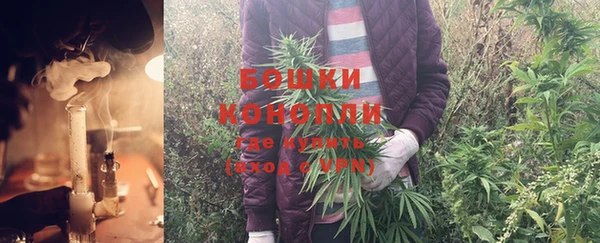 прущие грибы Фёдоровский