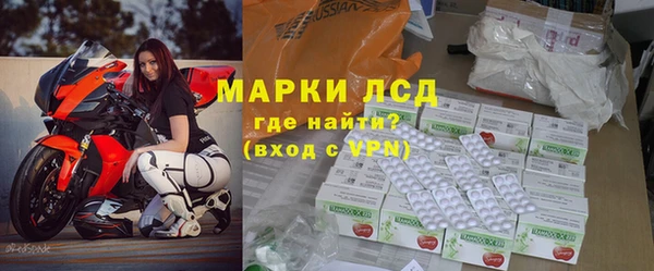 прущие грибы Фёдоровский