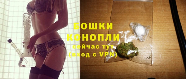 прущие грибы Фёдоровский