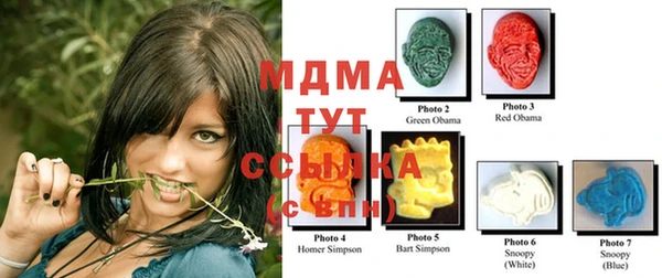 твердый Нестеровская