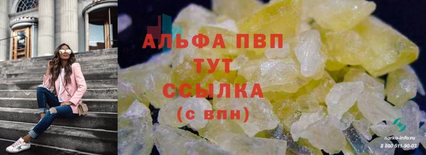 прущие грибы Фёдоровский